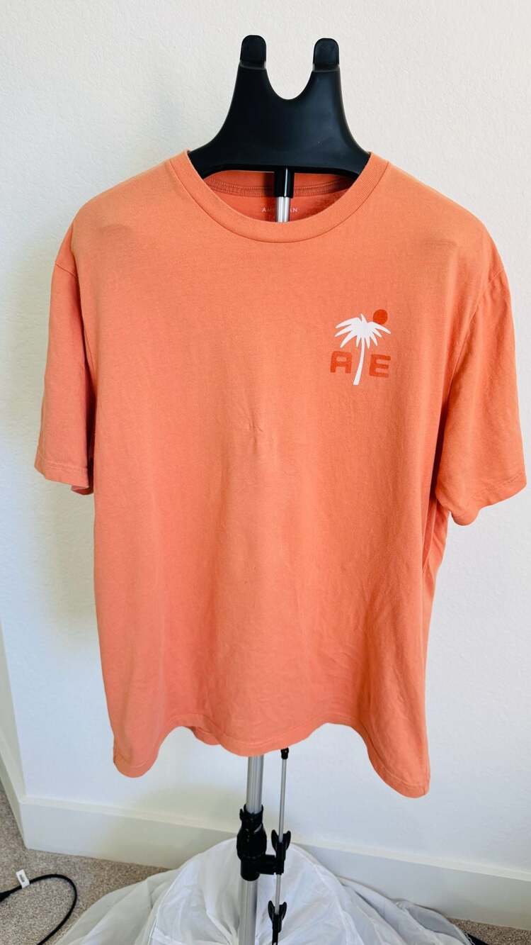 American Eagle Graphic T-Shirt Size L Orange Palm Tree Logo